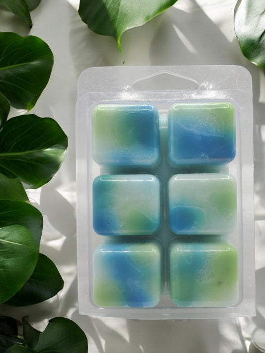 6 pk Wax Melt  Elven Woods