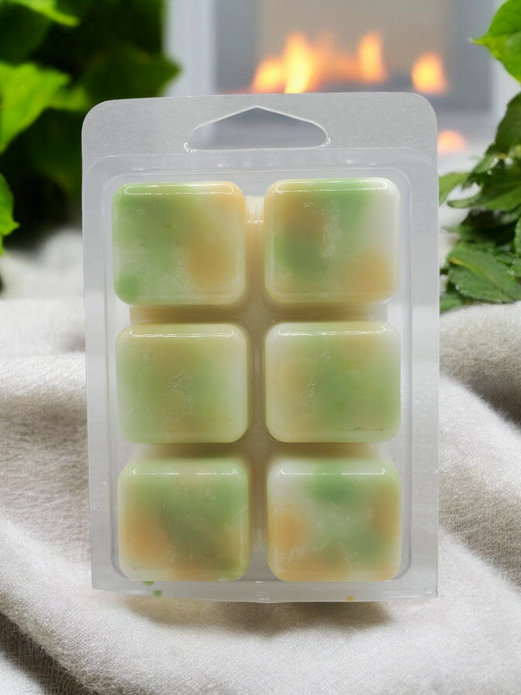6 pk Wax Melt  Koala Mint